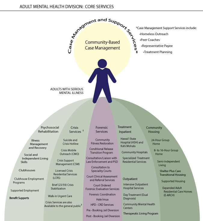 Adult Mental Health Division 12