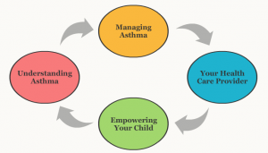 Graphic of cycle of Asthma treatment