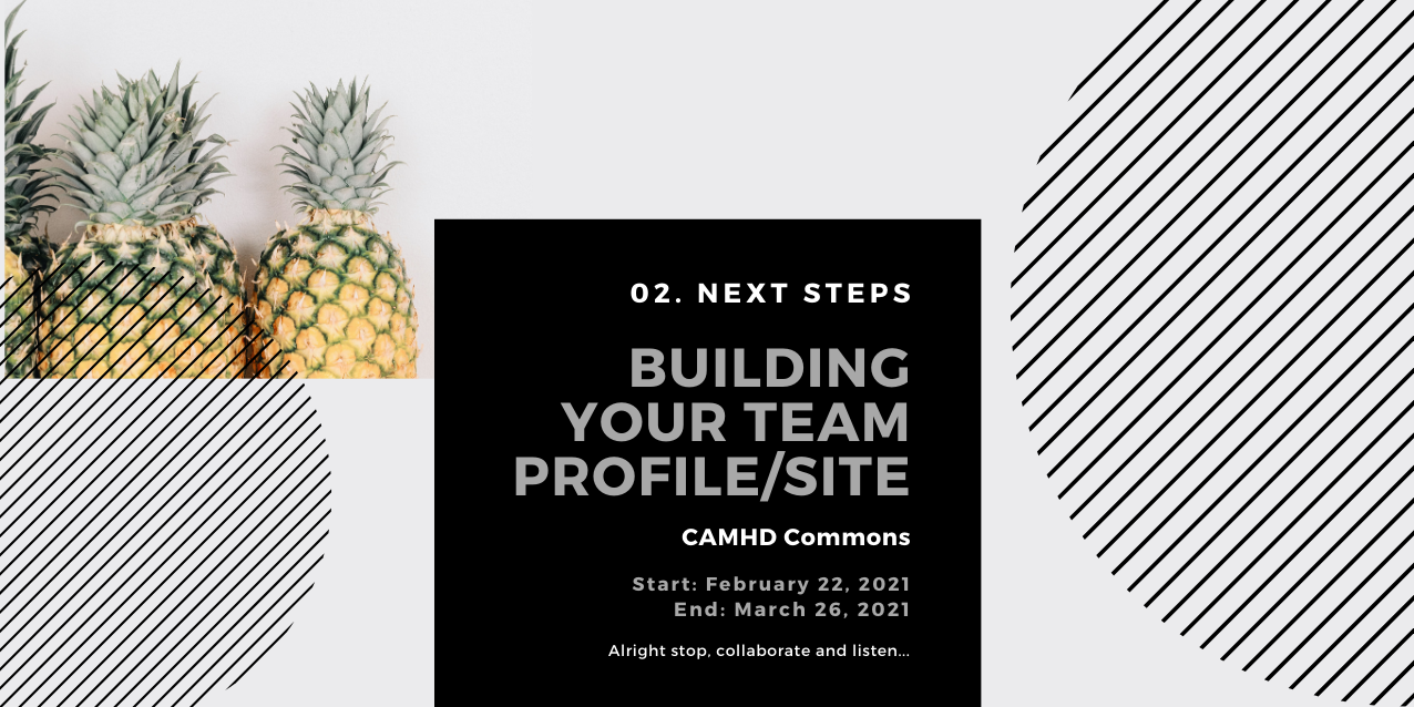 Black & White Modern Minimalist Flyer with Pineapples and Text