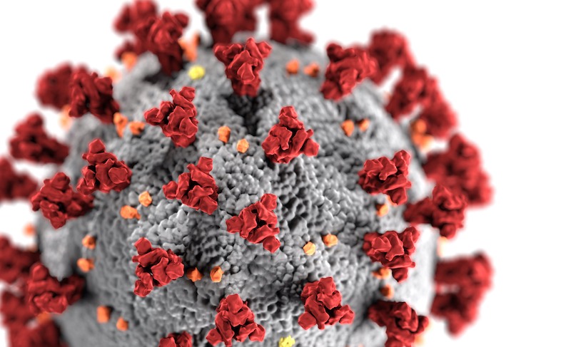Close up illustration of a virus