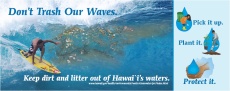 thumbnail image of the 'Don't Trash Our Waves' poster.