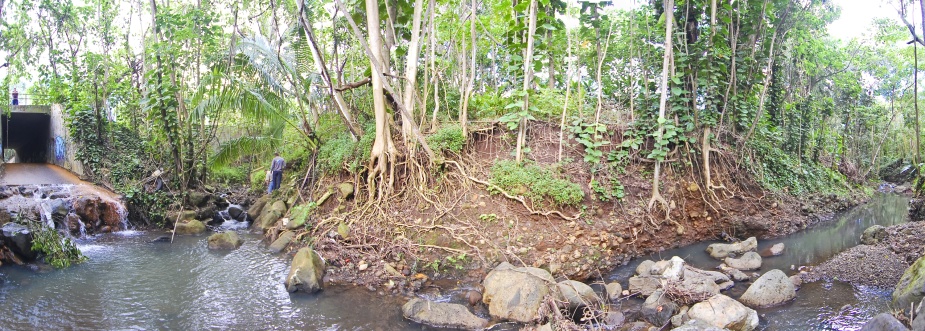 Panorama image of Wiamanalo Stream.