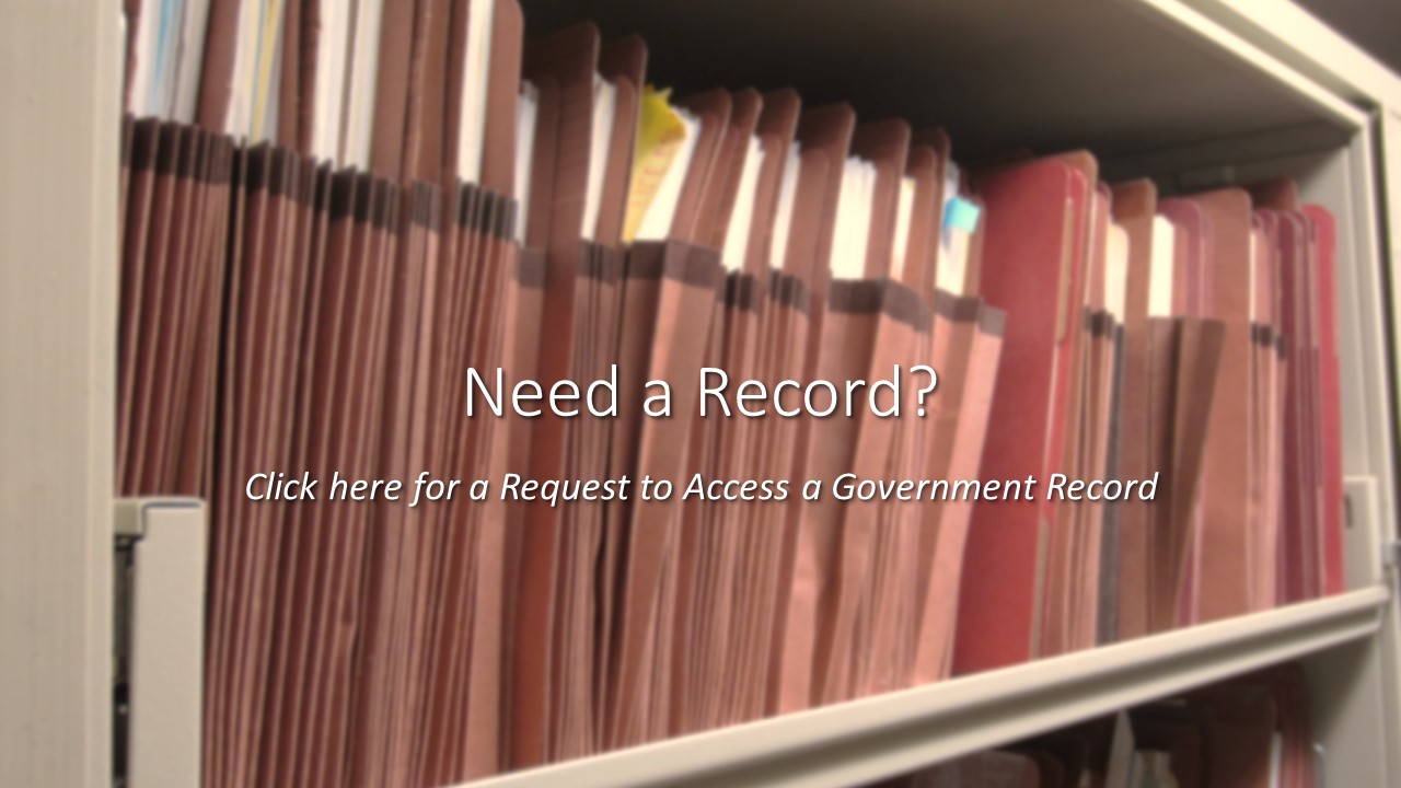 Request to Access a Government Record Form