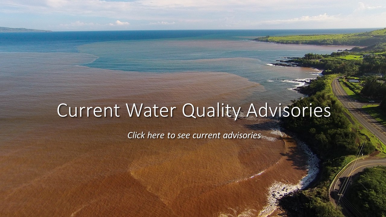 Current Water Quality Advisories Link