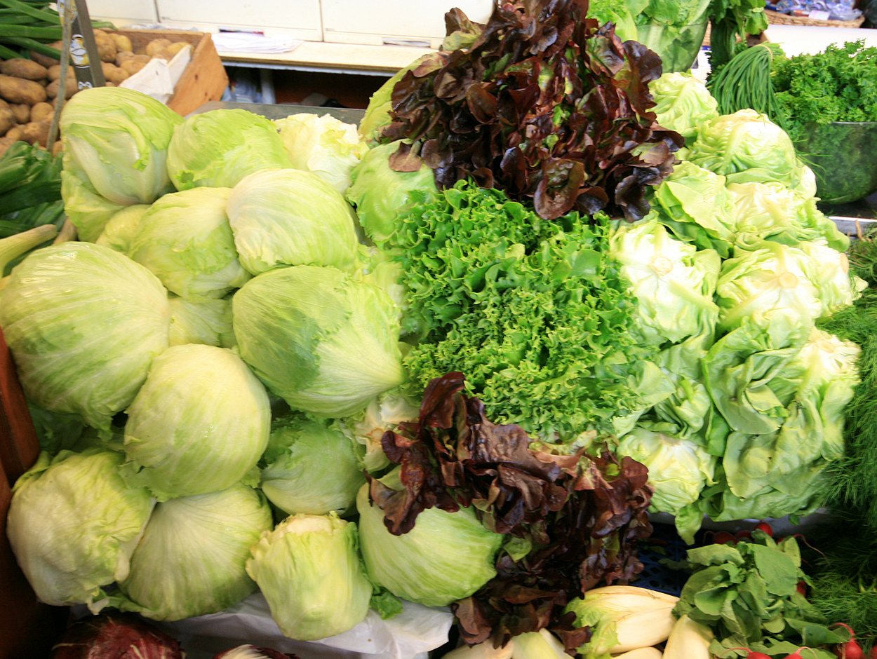 lettuce variants in grocery store