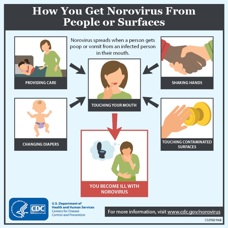 CDC HowYouGetNorovirusFromPeopleorSurfacesINFOGRAPHIC 