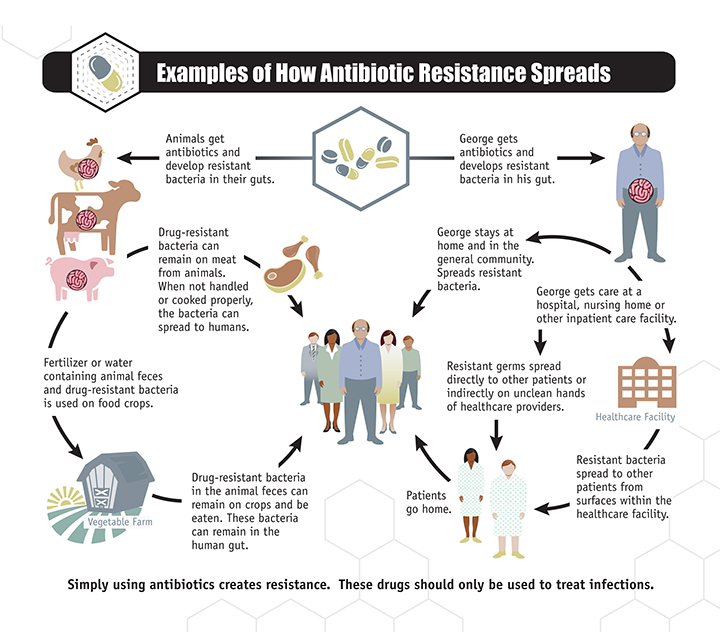 examples of how antibiotic resistance spreads