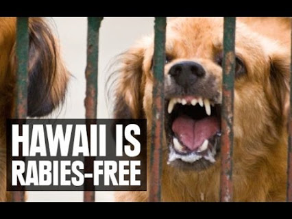 Hawaii is Rabies-free