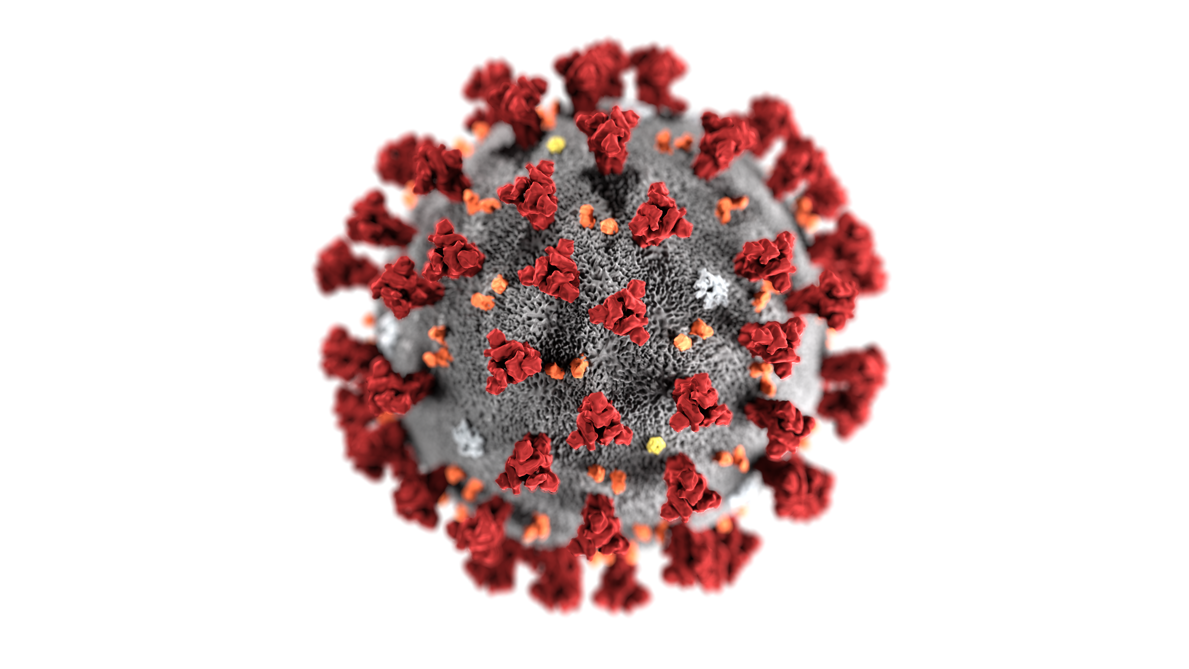 disease-outbreak-control-division-coronavirus-disease-2019-covid-19
