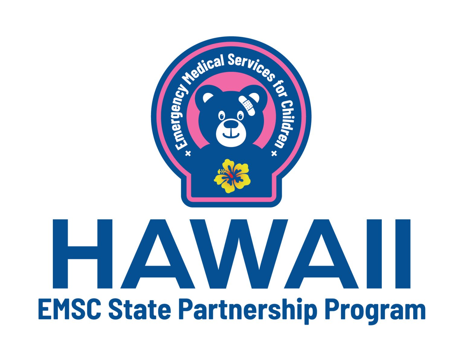 Emergency Medical Services EMSC Hawaii Pediatric Emergency eLearning