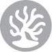 Coral Reef Inactive Icon