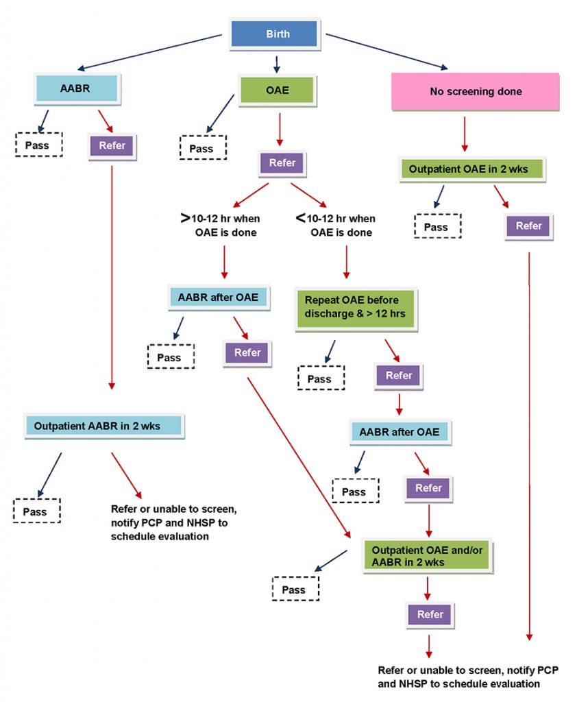 NBHSP_Guideline_Flowart_REV