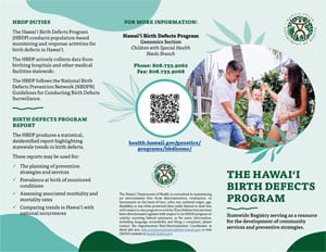 HBDP Brochure