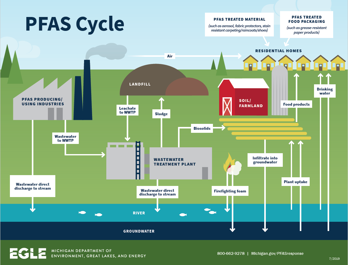 Per- and Polyfluoroalkyl Substances (PFAS) - HEER Office