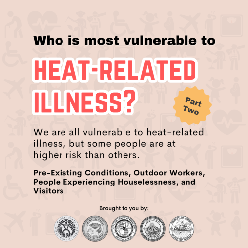 11. Vulnerable Groups