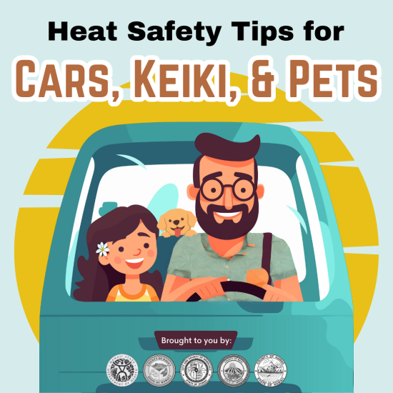 1. Cars, Keiki, and Pets Cover