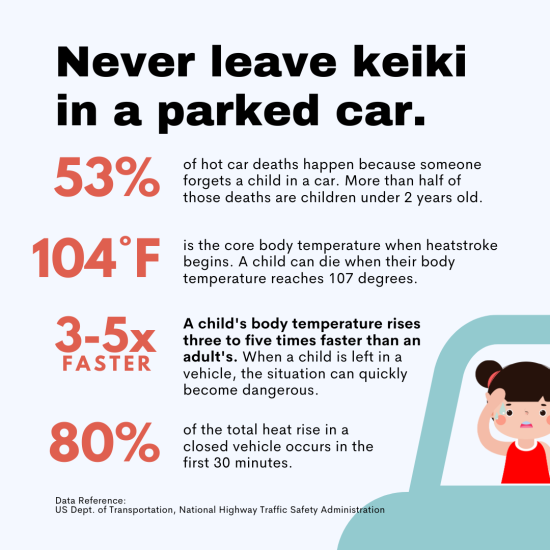 3. Keiki in Car Facts