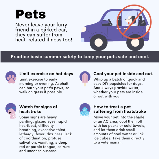 5. Tips for our furry friends