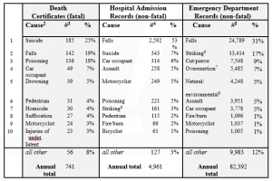 A chart showing the ten leading causes of death among Hawaii residents, click to enlarge.