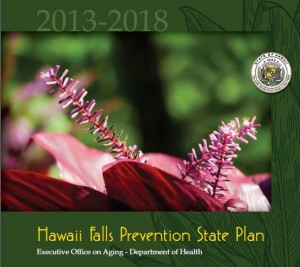 Cover of the Hawaii Falls Prevention Plan 2013-2018