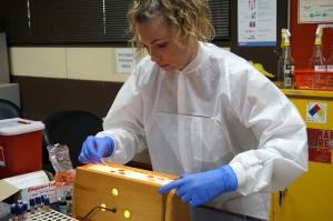 person with gloves and protective clothes working with test tubes