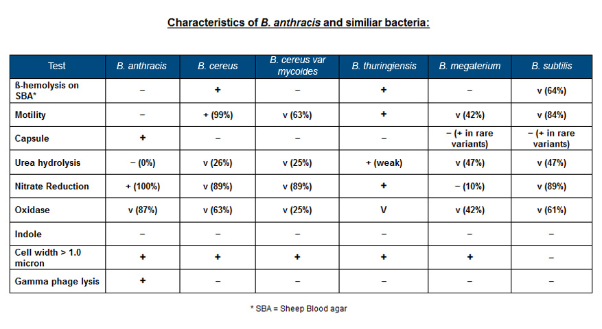 Bacillus Species Identification Chart