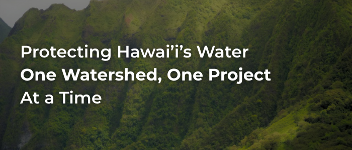 Protecting Hawai'i's Water, One Watershed, One Project, At a Time