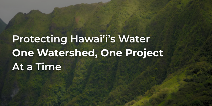 Protecting Hawai'i's Water, One Watershed, One Project, At a Time