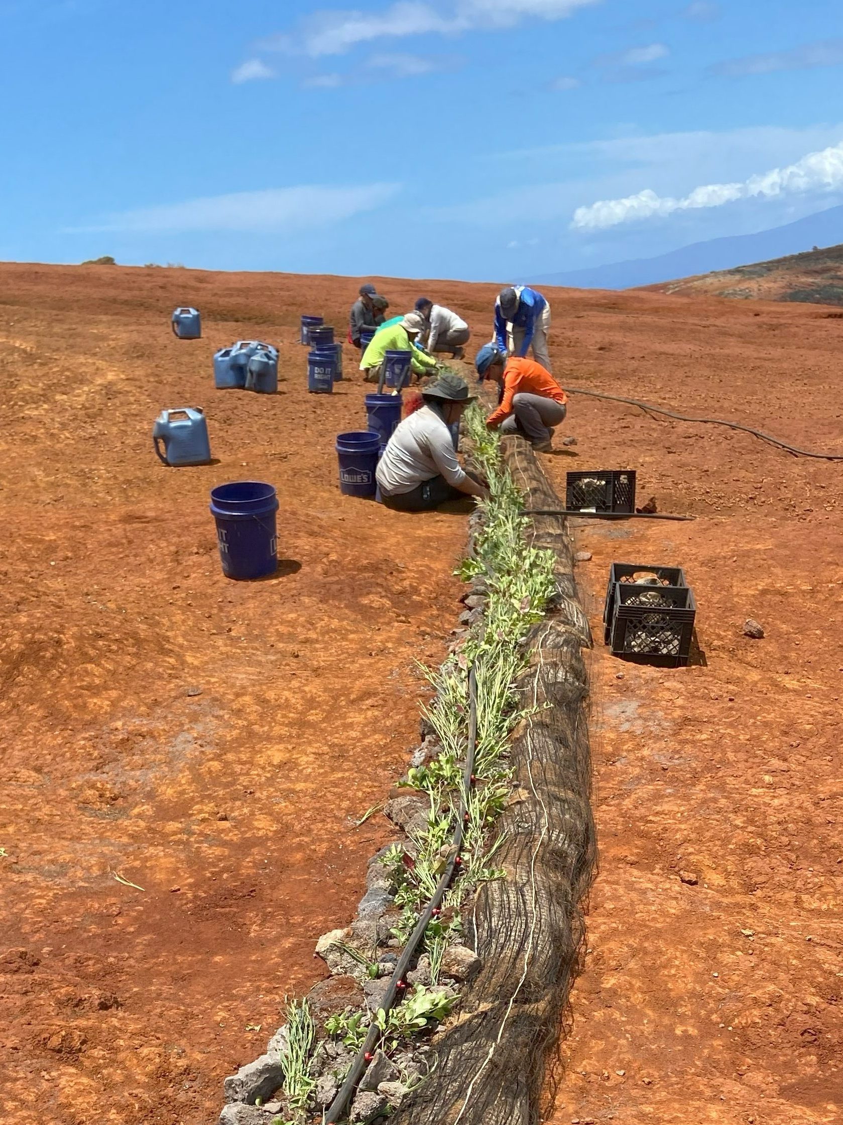 Volunteers plant vegetation in the barren landscape of Kaho'olawe