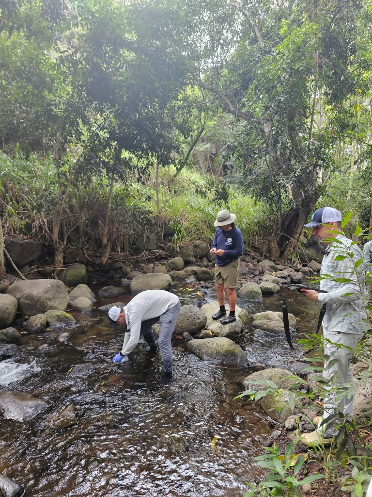 Several people are standing on rocks in a stream in the forest. One of them is bending down to collect a water sample in a semi-translucent, white bottle.