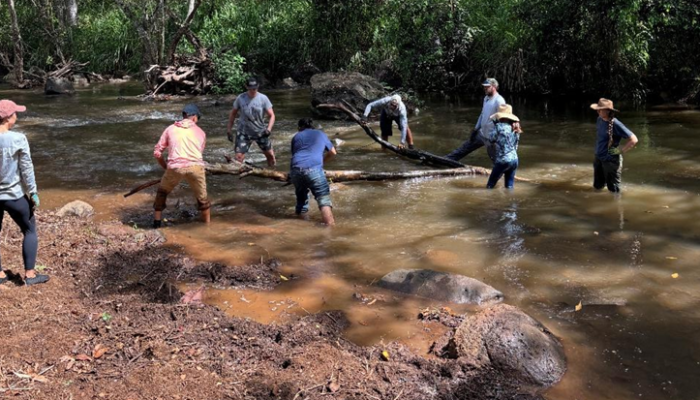 Seven volunteers remove debris from a stream.
