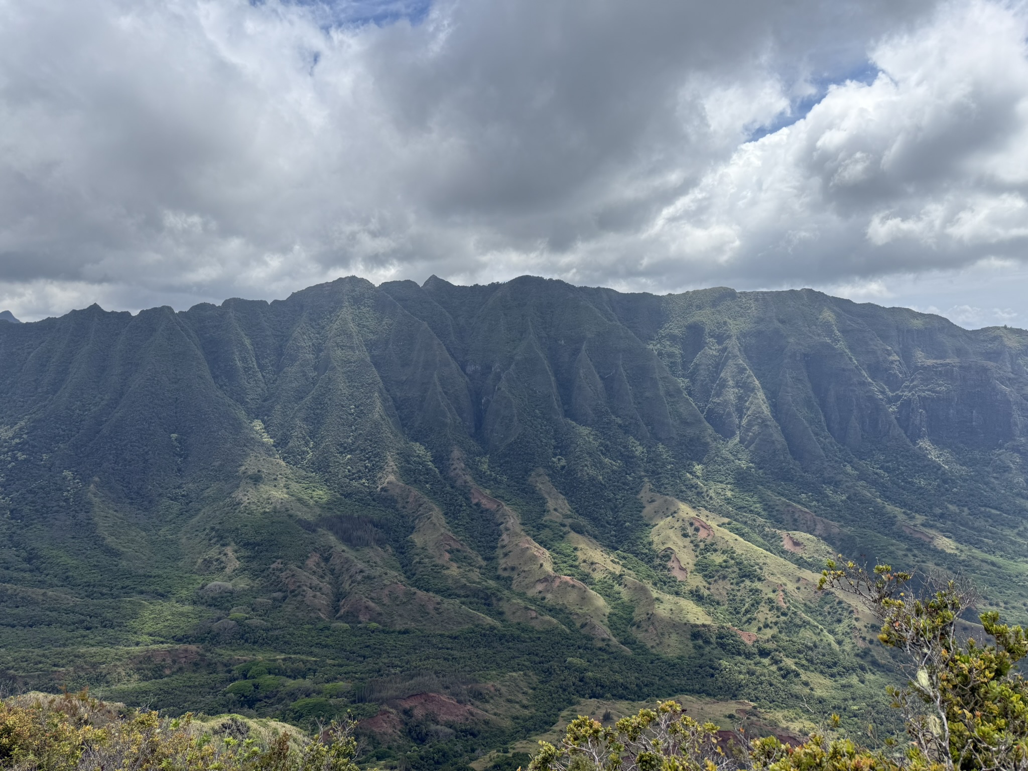 Far away view of a large forested watershed