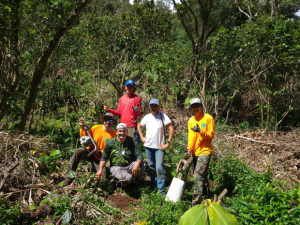 Restoration staff from UH and KMWP stand with a newly-planted koa sapling.